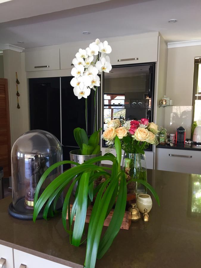 Protea Point Bed & Breakfast เคปทาวน์ ภายนอก รูปภาพ